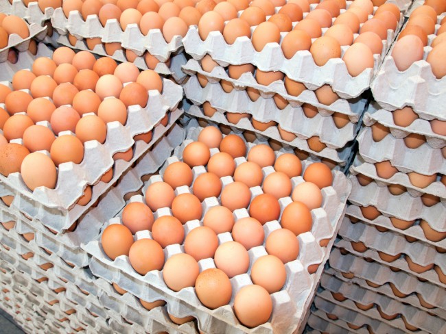Через Смоленск не пропустили 56 тысяч куриных яиц из Белоруссии