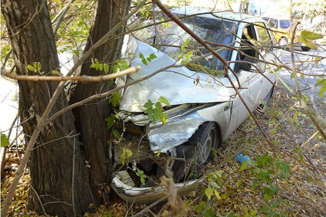 Смолянин протаранил дерево возле дома и покалечил пассажира