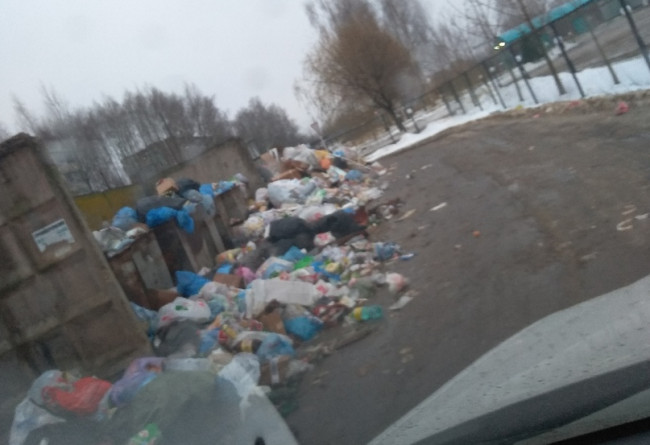 Жители частных домов за неуплату регоператору за вывоз мусора будут платить штраф