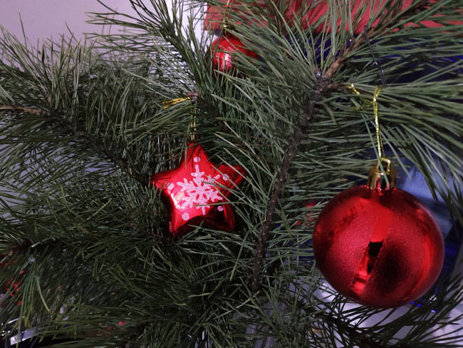 Смолян приглашают провести новогодние праздники в Смоленском музее-заповеднике