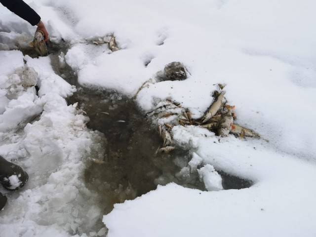 Следователи организовали проверку по факту загрязнения реки на Смоленщине