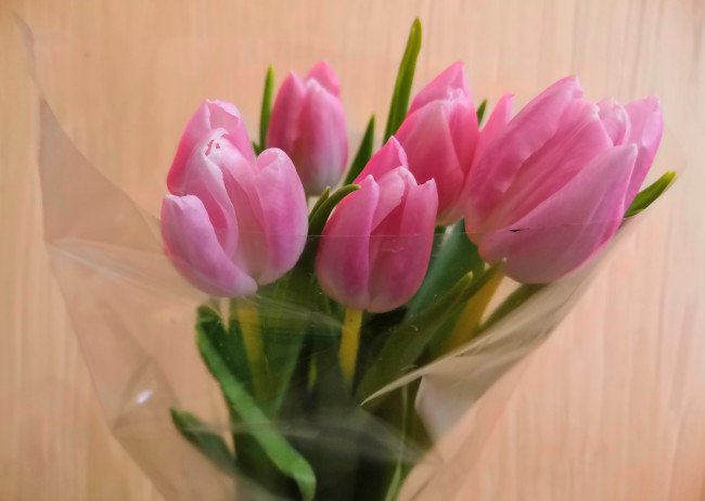 Где в Смоленске можно купить цветы к 8 марта