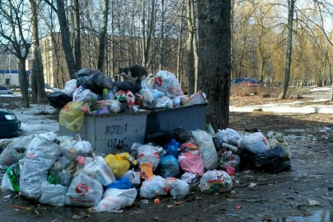 «Спасите Десногорск!» Жители тонут в мусоре