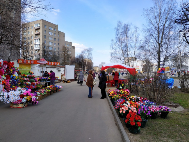В Смоленске определены места для торговли цветами на Пасху