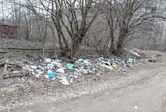 Территории вокруг смоленских школ зарастают мусором