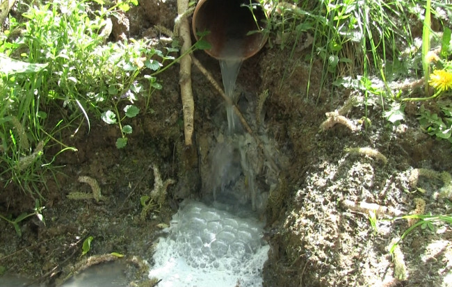 «Молочные реки»: под Смоленском предприятие устроило незаконный слив отходов