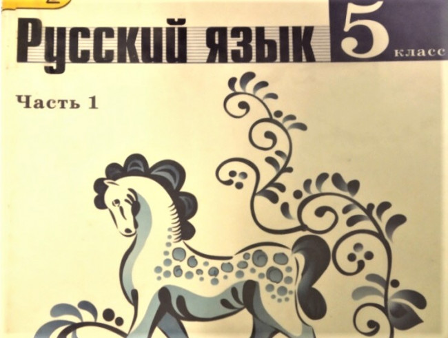 Смоляне возмущены опечатками в учебнике русского языка