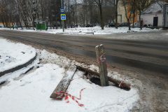 IMG_20211205_144421