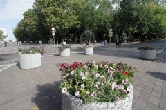 img_0780