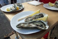 IMG_0660-kopiya
