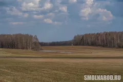 zma_9595