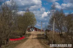 zma_9598