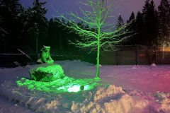 IMG_2743