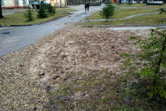 IMG_20200306_134952_BURST2