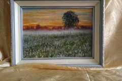img-20230523-wa0024