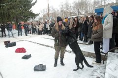Кинологи, таможня, собака