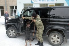 Кинологи, таможня, собака