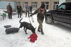 Кинологи, таможня, собака