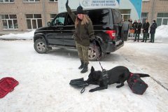 Кинологи, таможня, собака
