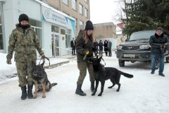 Кинологи, таможня, собака