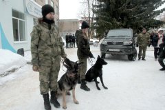 Кинологи, таможня, собака