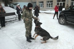 Кинологи, таможня, собака