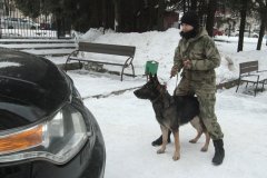 Кинологи, таможня, собака