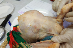 IMG_20200911_113001