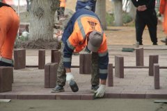 IMG_1774