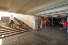 IMG_0503