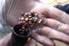 IMG-20200305-WA0006
