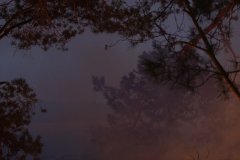 d21189e1638b4eb986f82412c107aae3.max-2500x1500