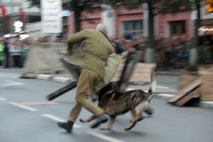 img_0986