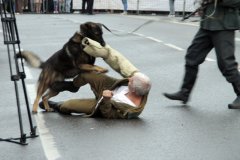img_0988