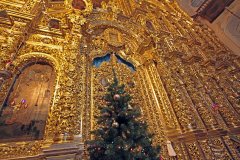 IMG_4384