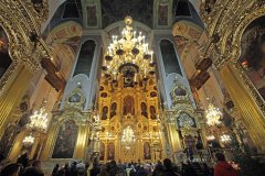 IMG_4544
