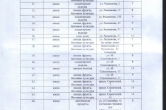 NTO-Smolensk-nezakonnye-8
