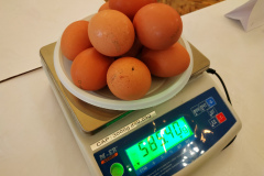 7-QJgPDIQ5o