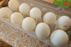 oOHfchKyOsk