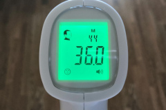 36