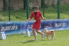 IMG_1629