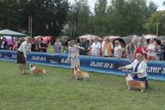 IMG_1706