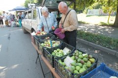 IMG_1176