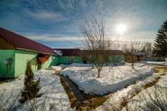ZMA_6946