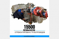 80_1617695416