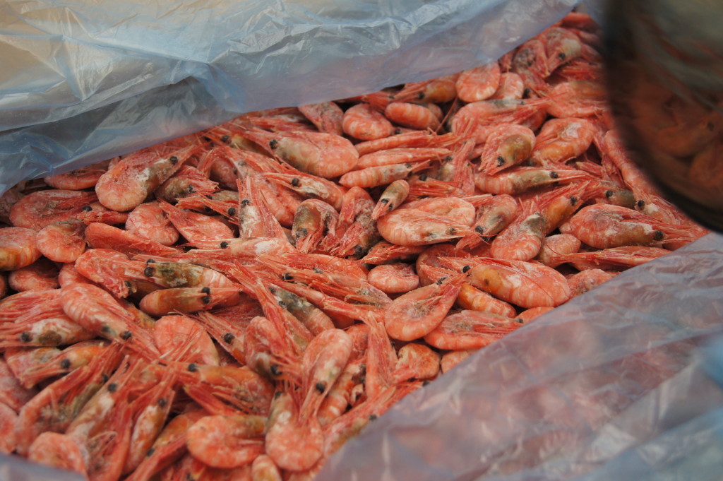 как выбрать креветки в магазине. полезные вещества в креветках. креветки заморозка. креветки на развес в магните. креветка розовая замороженная.