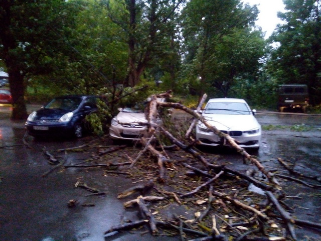 ураганный ветер в Смоленске
