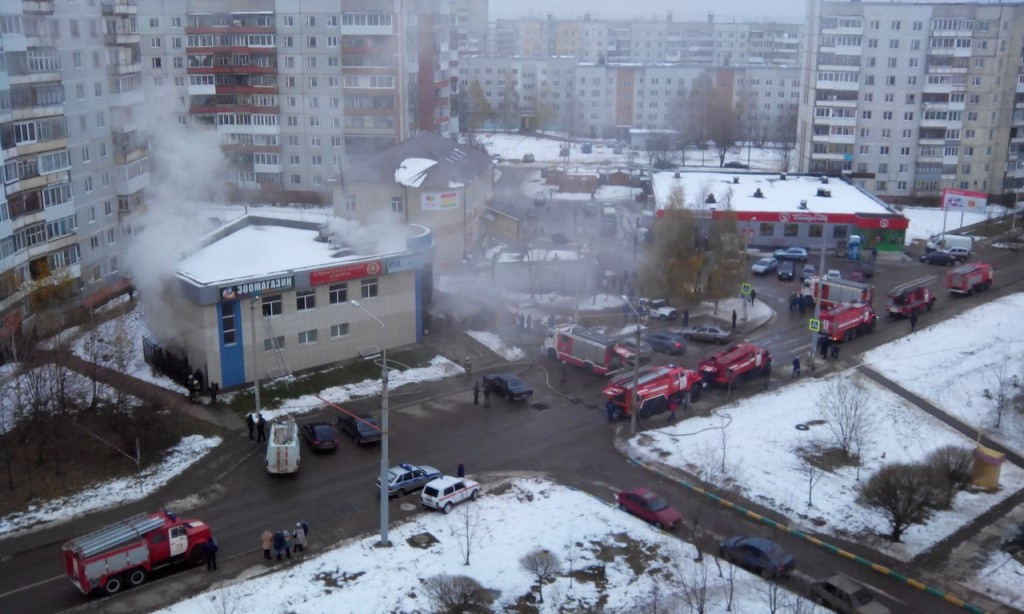 Фото на паспорт смоленск киселевка