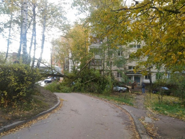 виктория долгалло