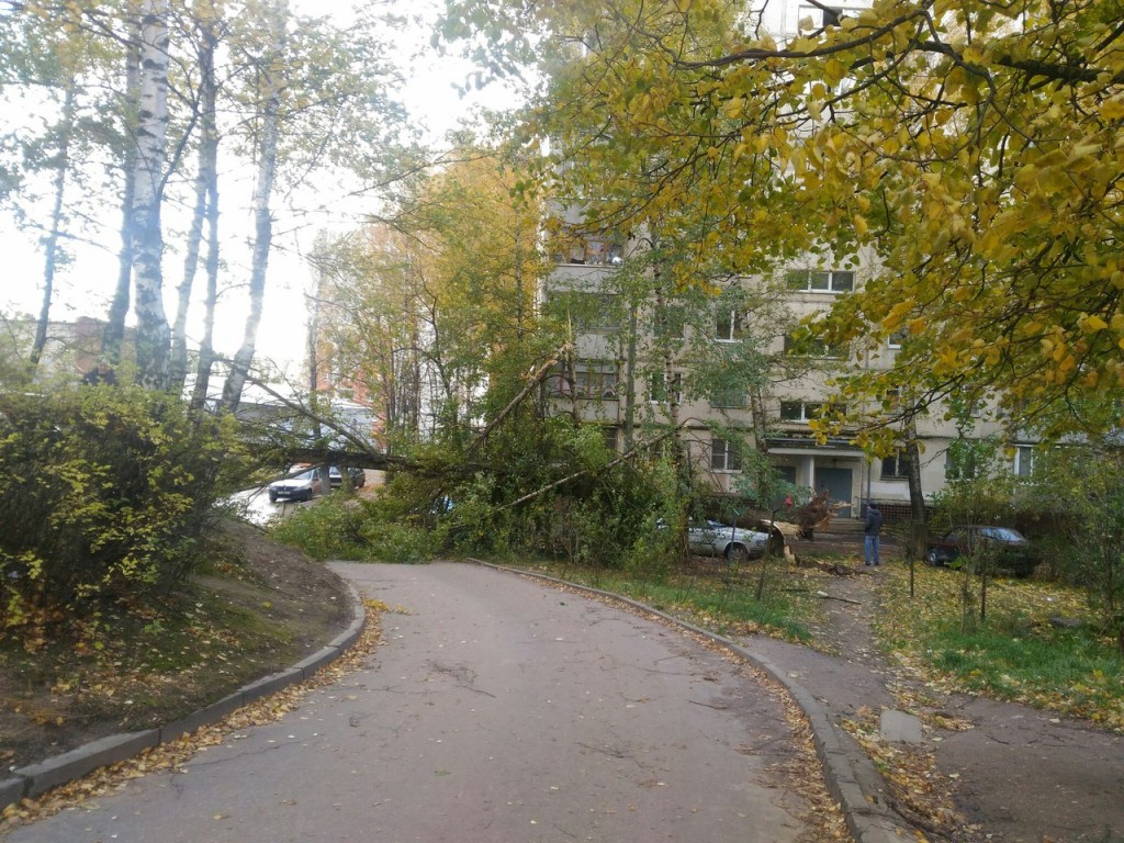 Смоляне сфотографировали печальные последствия вчерашнего ветра